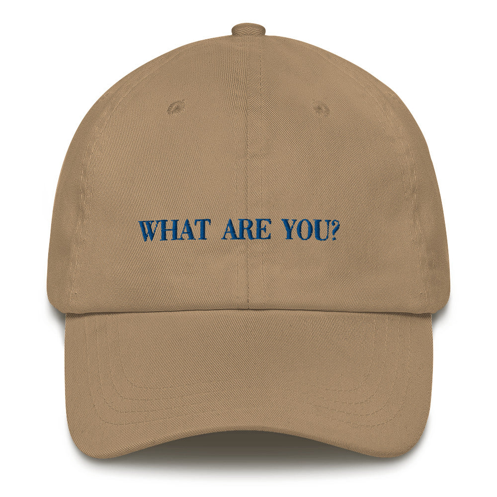 Idiot Sandwich Hat