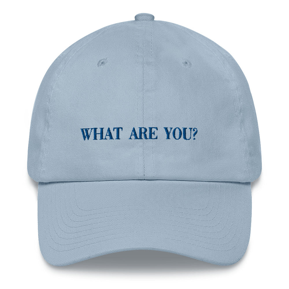 Idiot Sandwich Hat