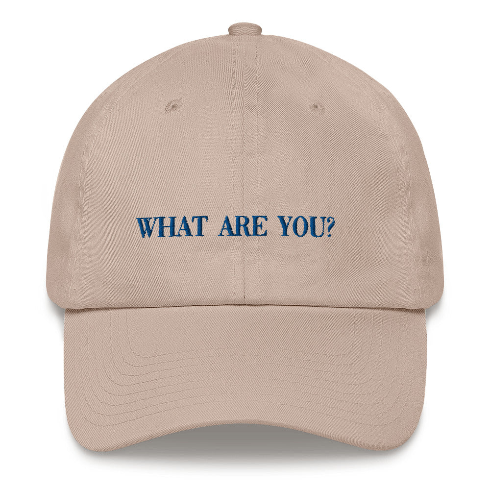 Idiot Sandwich Hat