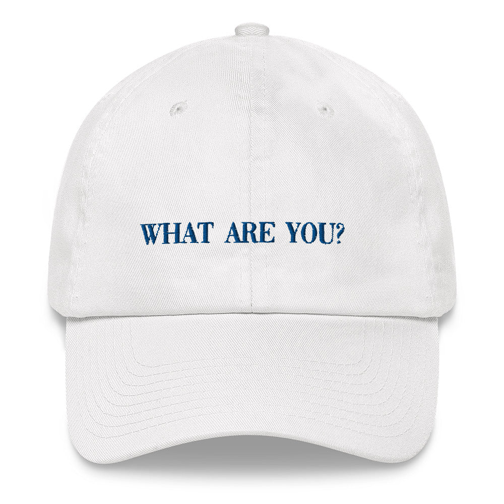 Idiot Sandwich Hat