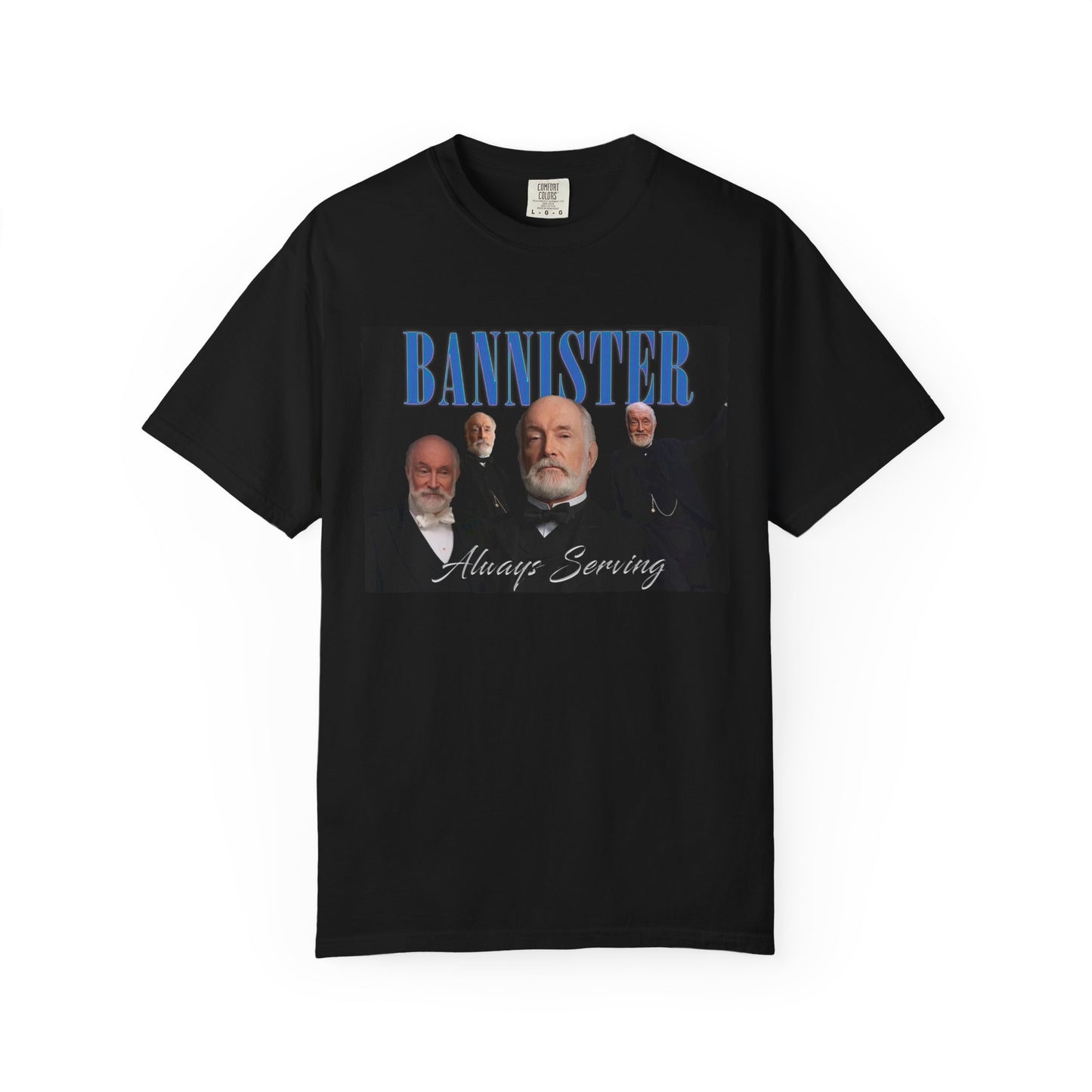 We Stannister Bannister Tee